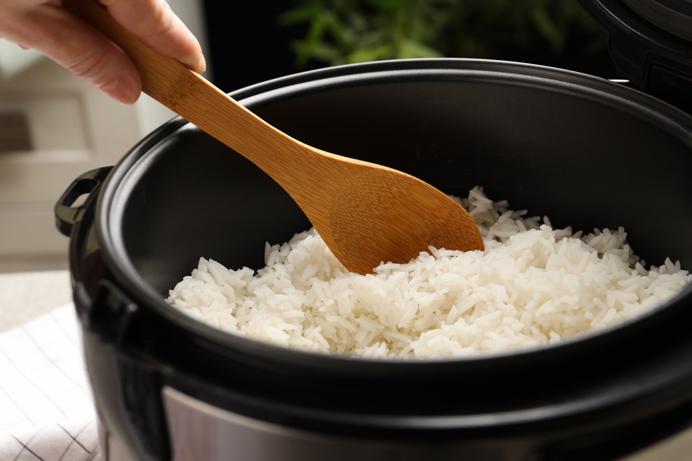 Proč potřebuji rýžovar? Proto!